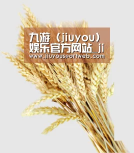 九游 (jiuyou)娱乐官方网站_jiuyou.com - 九游官网