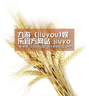 九游 (jiuyou)娱乐官方网站_jiuyou.com - 九游官网