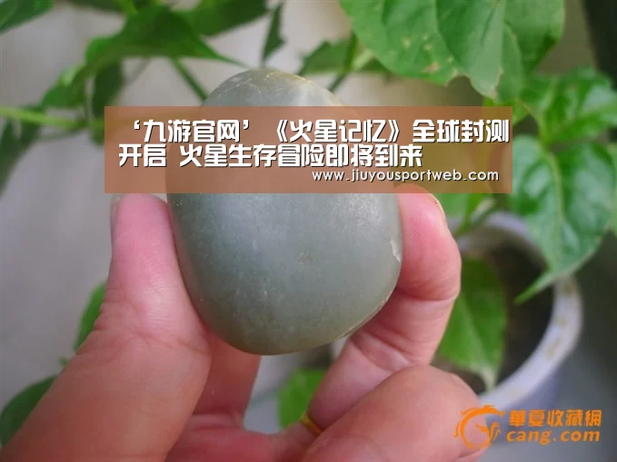 九游官网