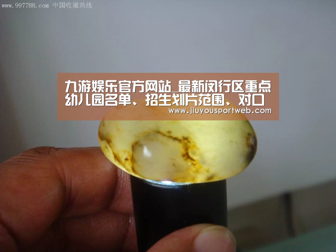 九游娱乐官方网站_最新闵行区重点幼儿园名单、招生划片范围、对口街道、对口社区信息(图2) 九游官网
