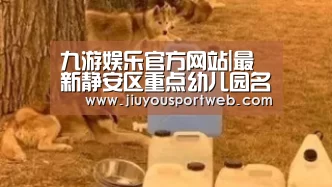 九游娱乐官方网站|最新静安区重点幼儿园名单、招生划片范围、对口街道、对口社区信息(图1) 九游娱乐官方网站
